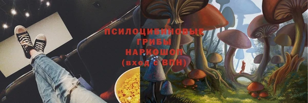 MDMA Premium VHQ Бронницы