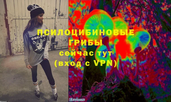 соль ск Бородино
