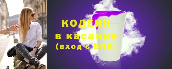 соль ск Бородино