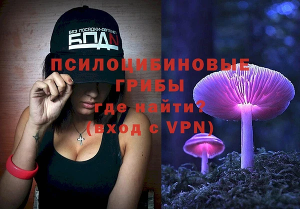соль ск Бородино