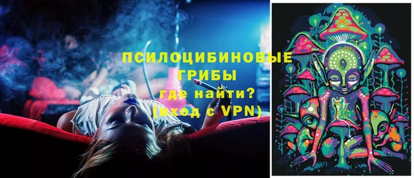 соль ск Бородино