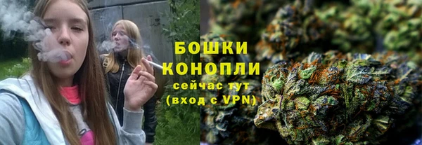 соль ск Бородино