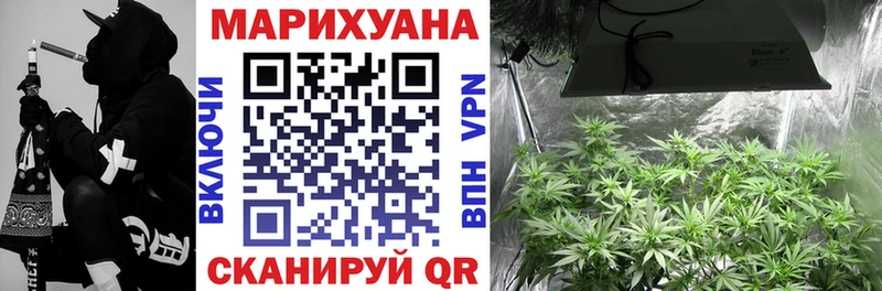 Каннабис SATIVA & INDICA  Юрга 